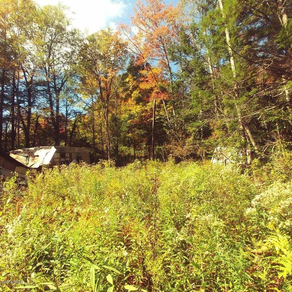 Bonnie Brook Road Roscoe, NY 12776 - Photo 6 of 7