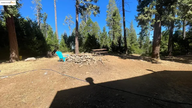a view of the backyard of a house
