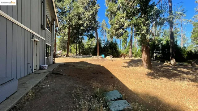 a view of outdoor space with garden