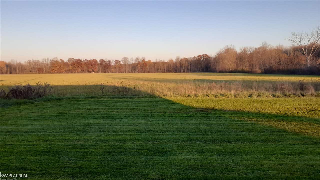 2122 Goodells Road Goodells, MI 48027 - Photo 54 of 58