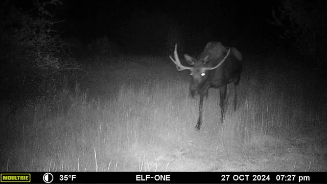 $1,100,000 | 10332 Highway 26, Kinnear, WY 82516