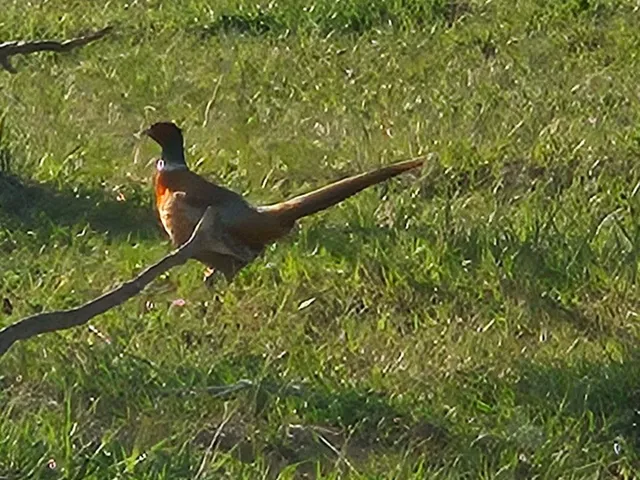 $1,100,000 | 10332 Highway 26, Kinnear, WY 82516