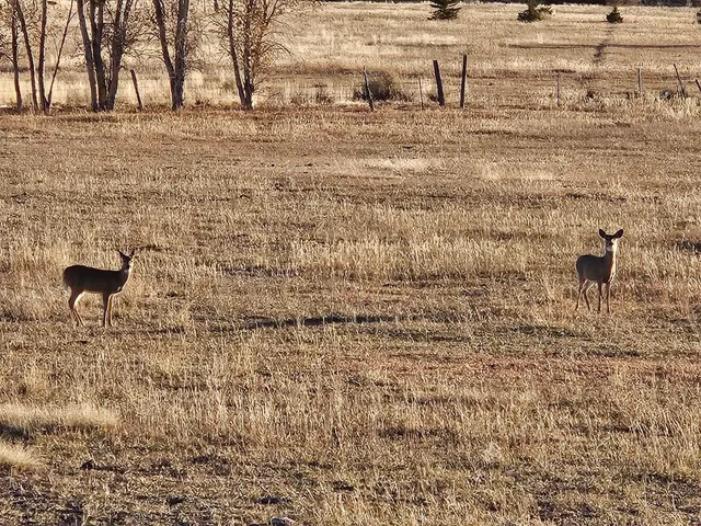 $1,100,000 | 10332 Highway 26, Kinnear, WY 82516