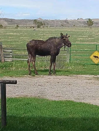 $1,100,000 | 10332 Highway 26, Kinnear, WY 82516