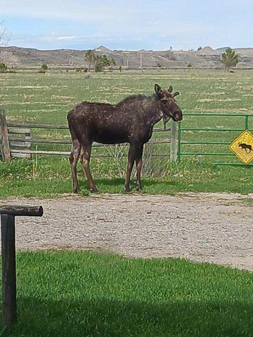 $1,100,000 | 10332 Highway 26, Kinnear, WY 82516