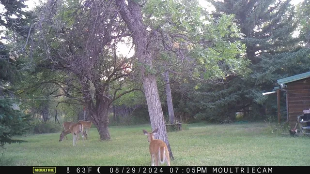 $1,100,000 | 10332 Highway 26, Kinnear, WY 82516