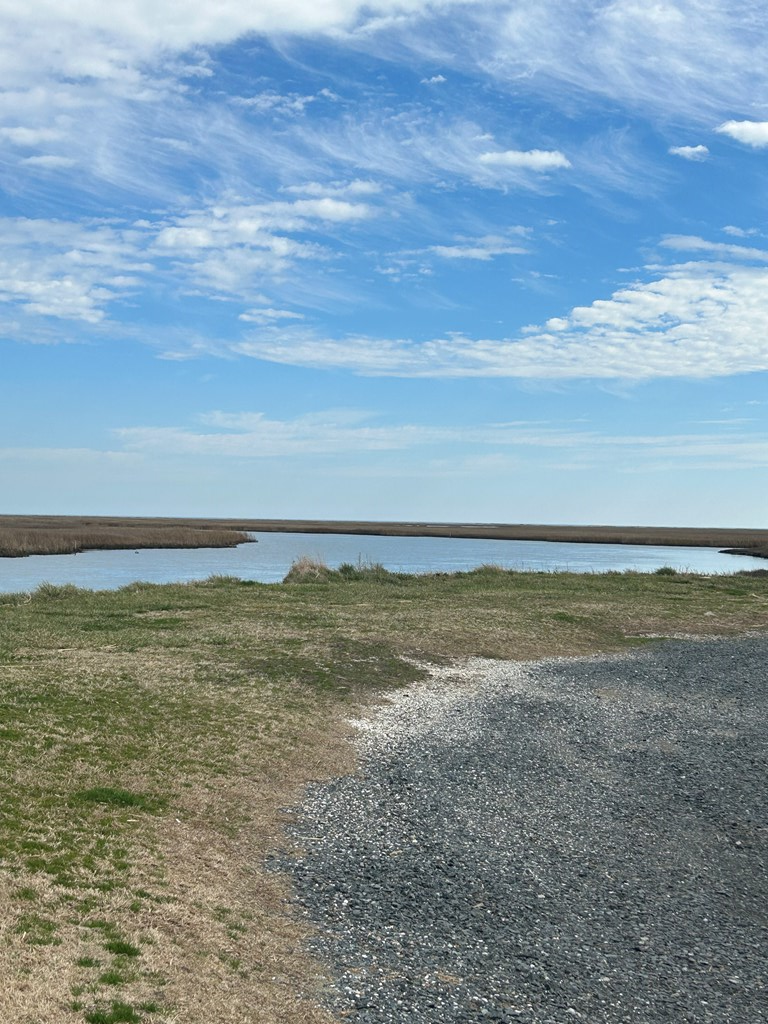 Lot#23 Gargatha Landing Road, Unit 23 Parksley, VA 23421 - Photo 6 of 6