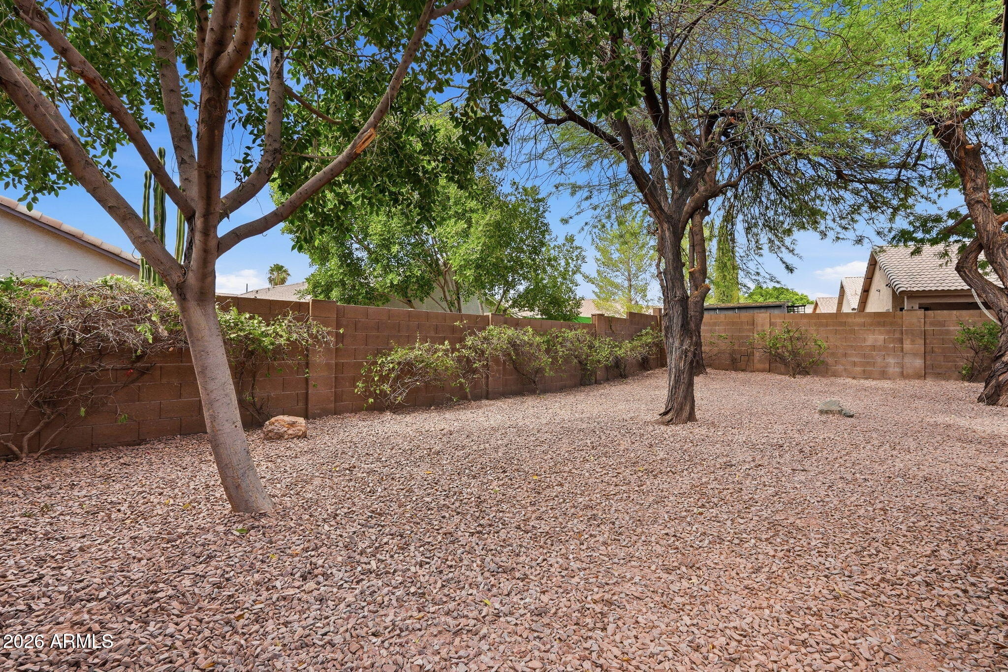 6126 East Roland Street Mesa, AZ 85215 - Photo 33 of 35 Backyard