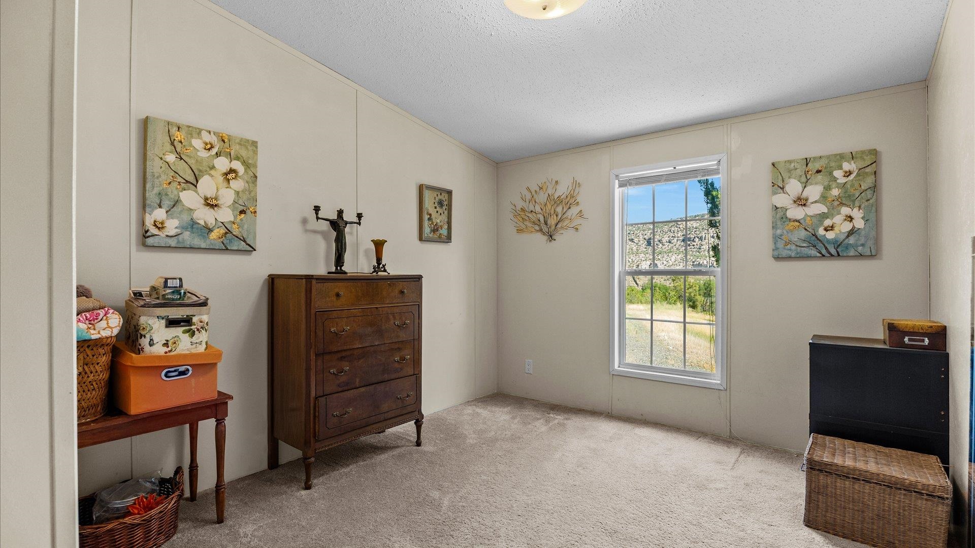 53219 KE Road Molina, CO 81646 - Photo 18 of 38