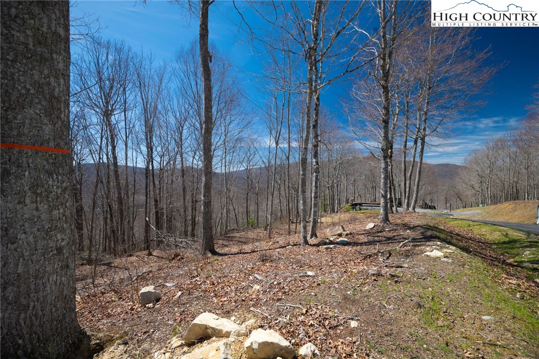 Lot 80 Bear Paw Road Elk Park, NC 28622 - Photo 15 of 19