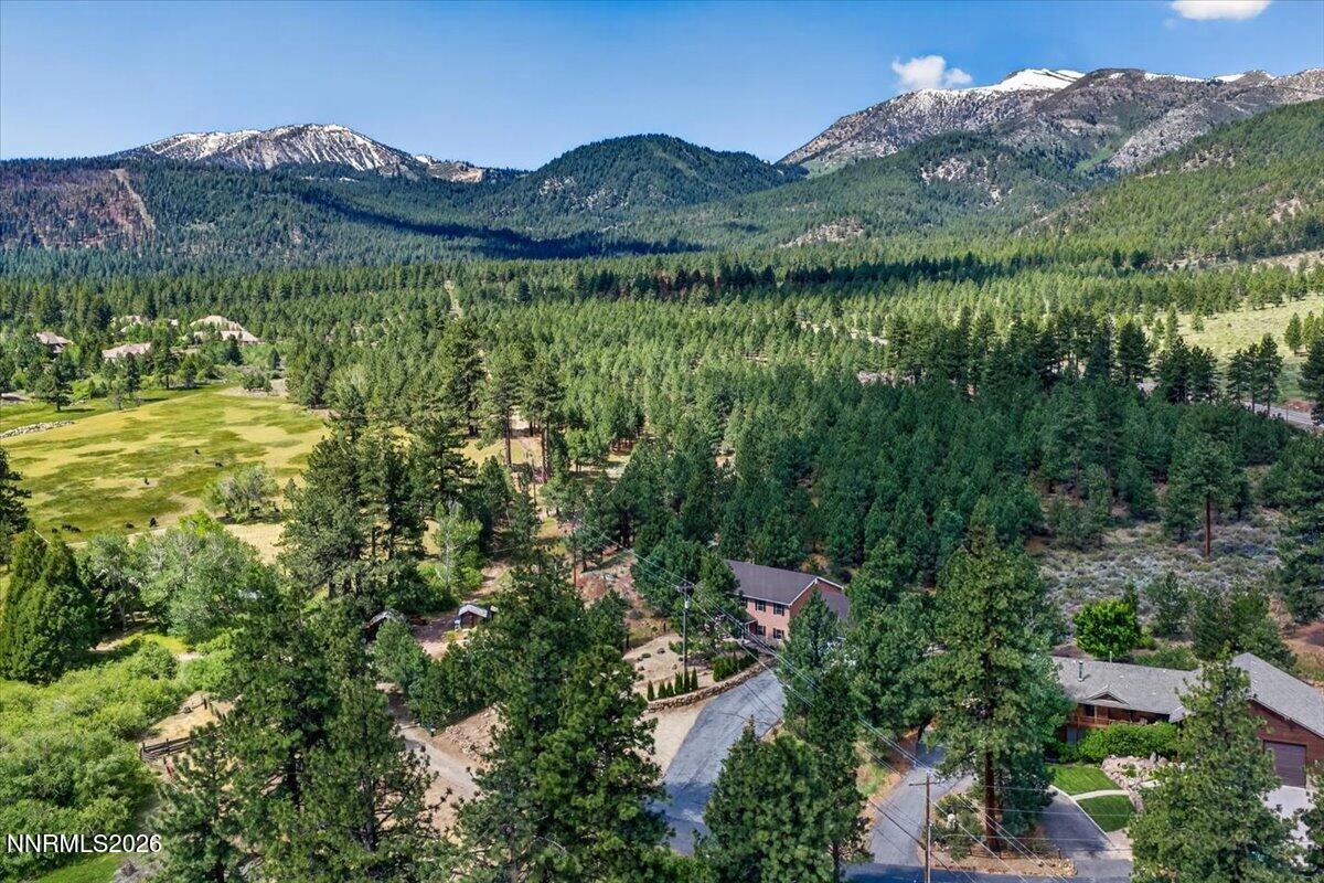 16925 Mt Rose Highway Reno, NV 89511 - Photo 4 of 64 04-DJI_20260526103453_0996_D