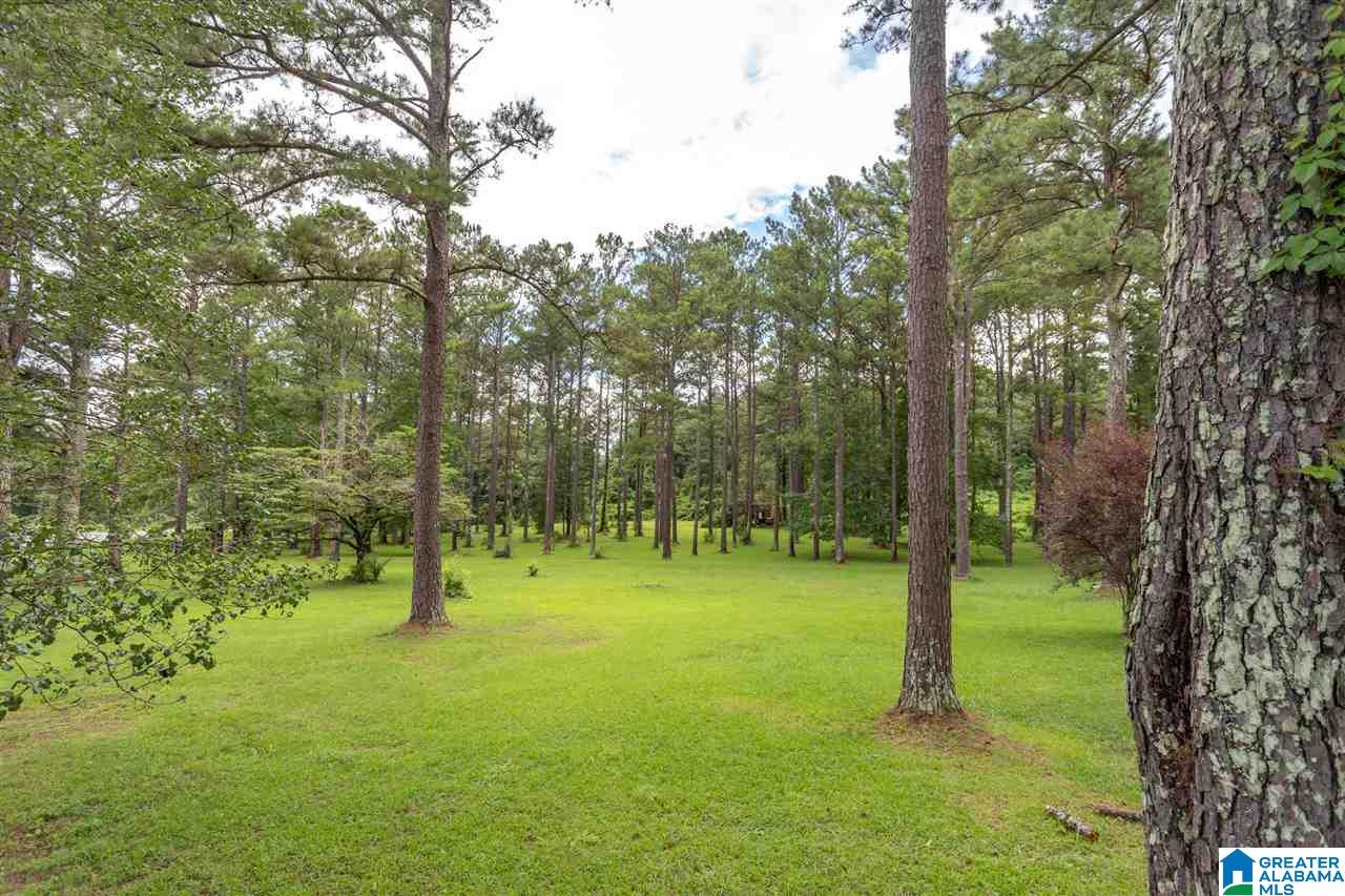 720 East Renfroe Road Talladega, AL 35160 - Photo 4 of 41