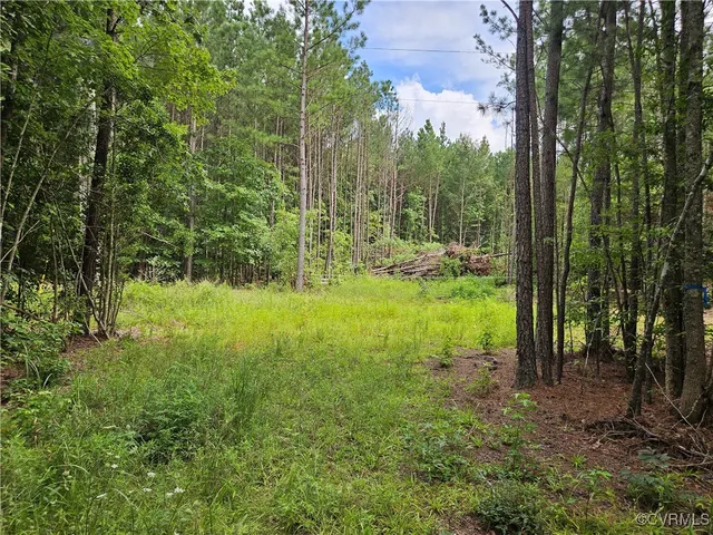 $35,000 | 154 King Bee Trail, Brodnax, VA 23920