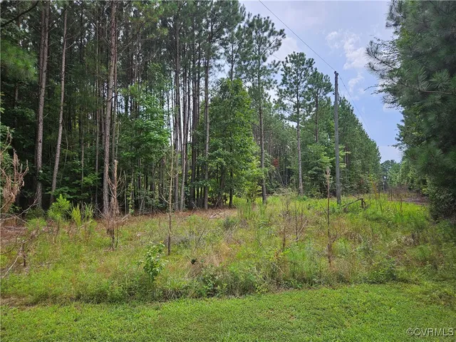 $35,000 | 154 King Bee Trail, Brodnax, VA 23920