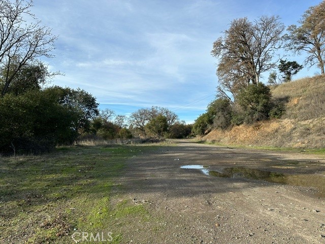 2900 Carson Street Upper Lake, CA 95485 - Photo 13 of 18 a view of beach and trees