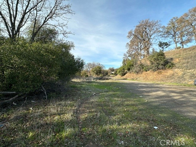 2900 Carson Street Upper Lake, CA 95485 - Photo 14 of 18 a view of outdoor space and yard