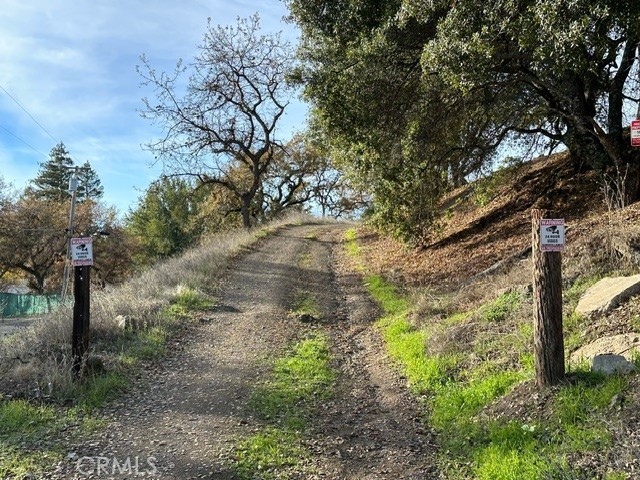 2900 Carson Street Upper Lake, CA 95485 - Photo 3 of 18 a pathway of a yard