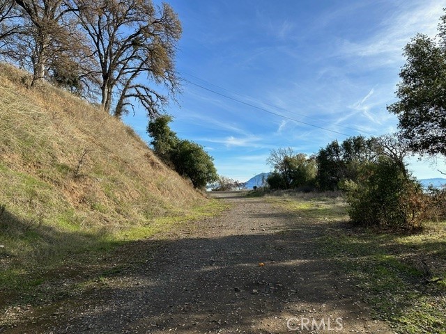 2900 Carson Street Upper Lake, CA 95485 - Photo 4 of 18 a view of dirt yard with large trees