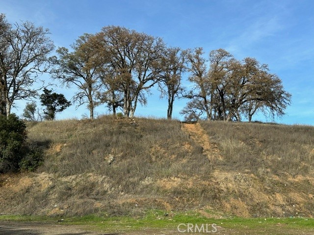 2900 Carson Street Upper Lake, CA 95485 - Photo 10 of 18 a view of dirt yard with a tree