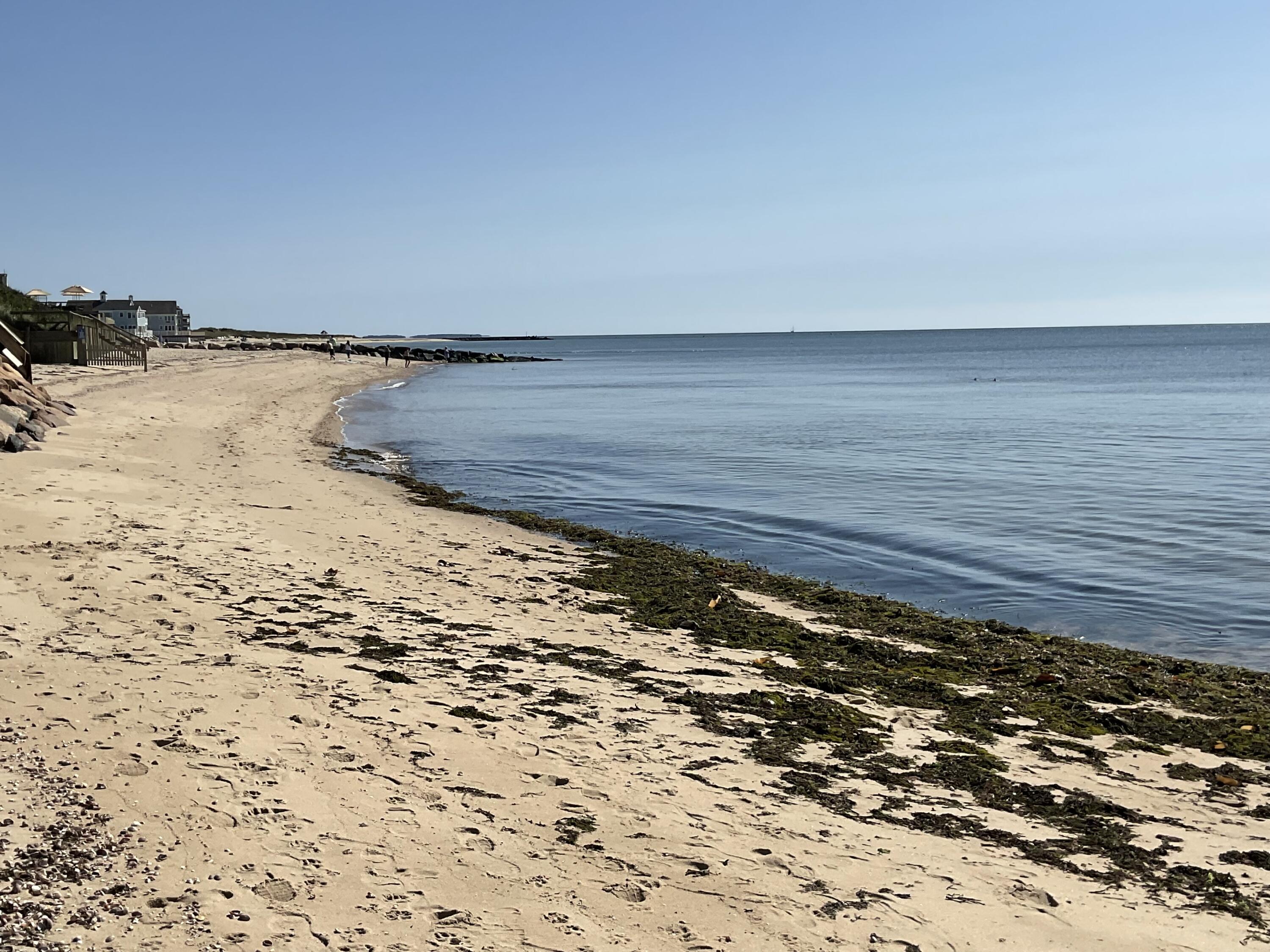 9 Chase Avenue, Unit U6 Dennis Port, MA 02639 - Photo 42 of 45 a view of ocean view with beach