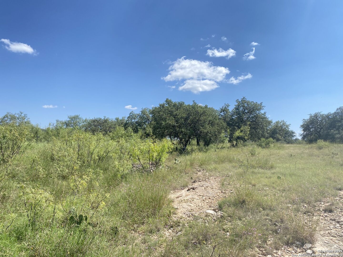 0 Mockingbird Lane Camp Wood, TX 78833 - Photo 11 of 16 a view of a big yard with potted plants and large tree