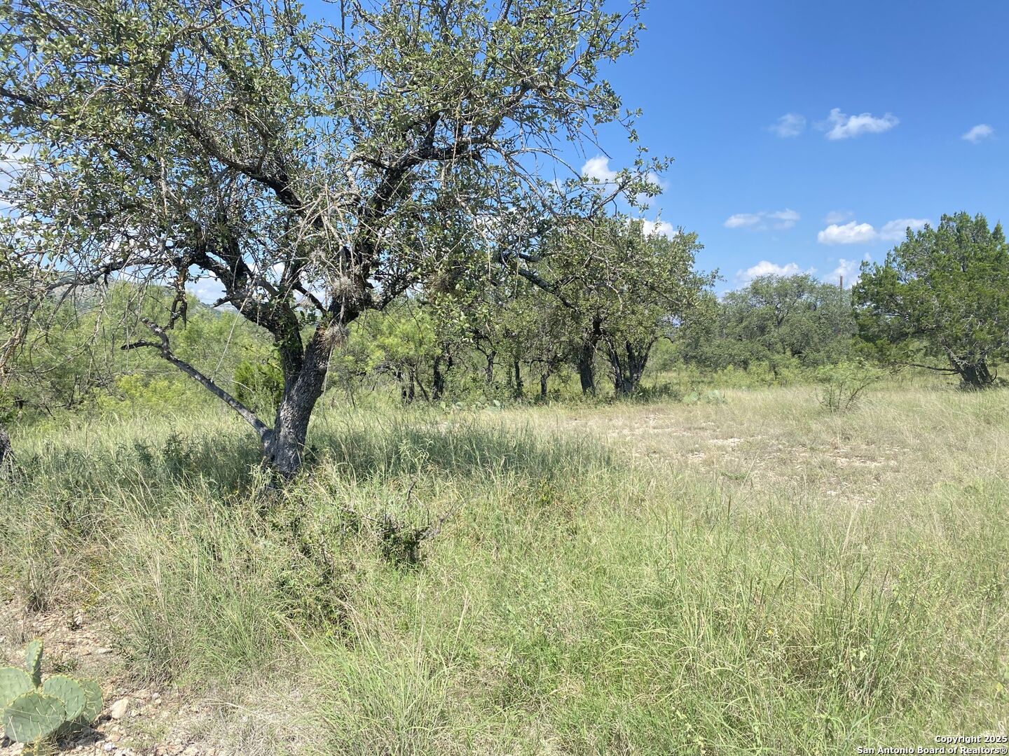 0 Mockingbird Lane Camp Wood, TX 78833 - Photo 14 of 16 a view of a lush green space