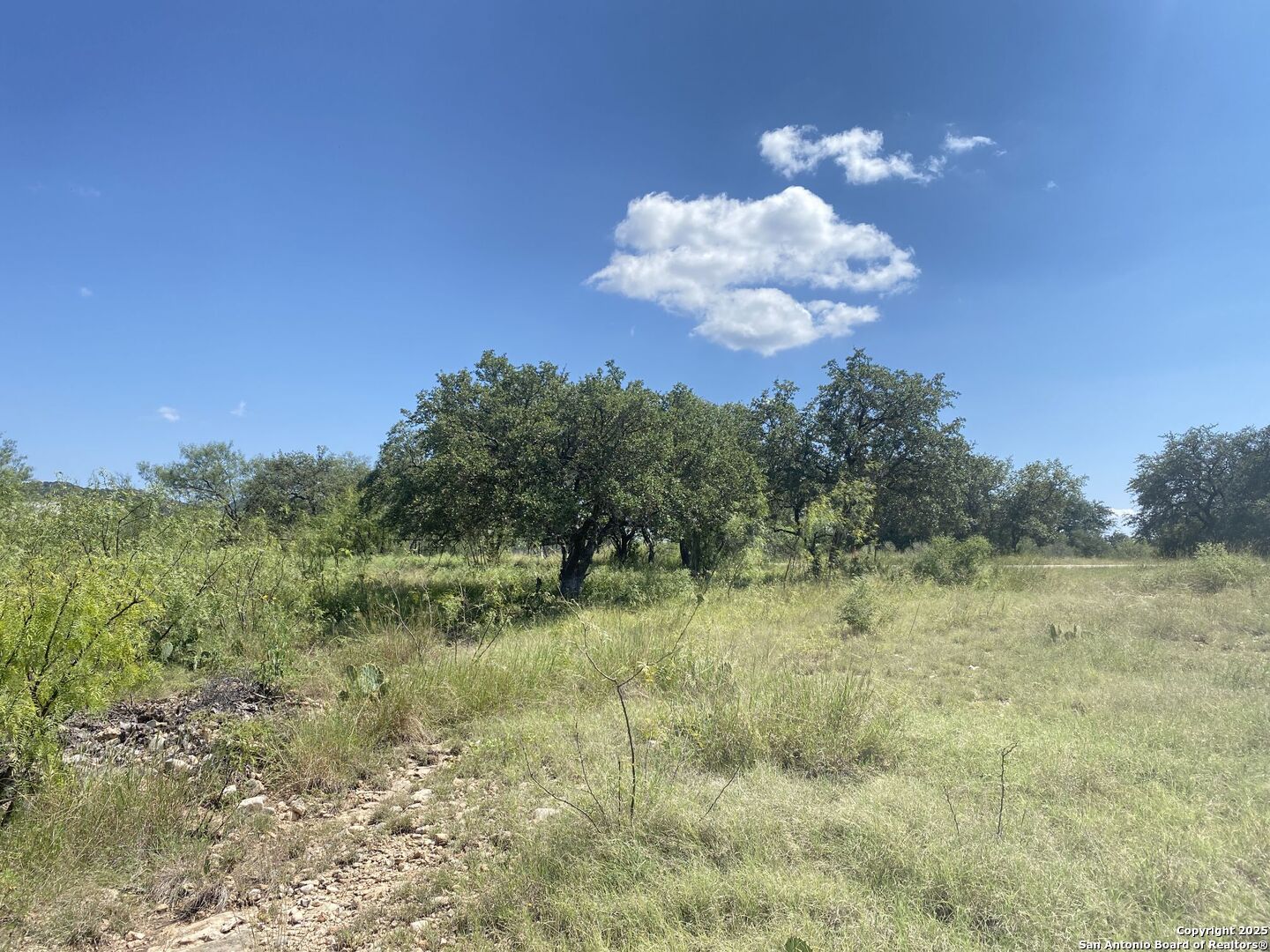 0 Mockingbird Lane Camp Wood, TX 78833 - Photo 16 of 16 a view of a yard