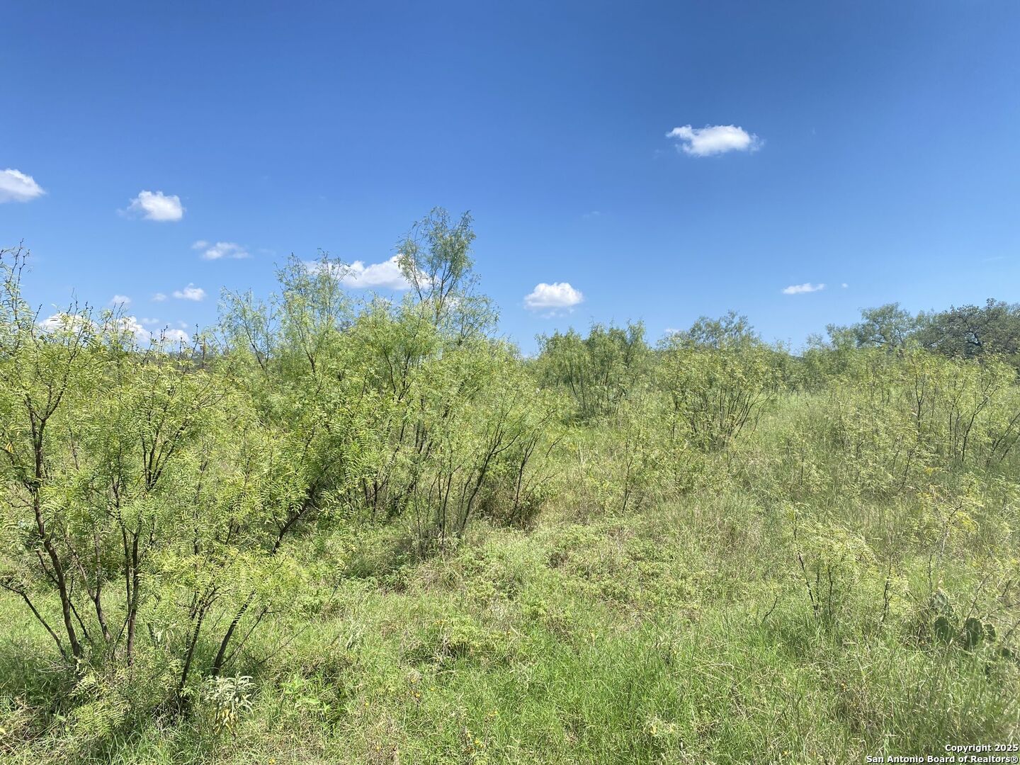 0 Mockingbird Lane Camp Wood, TX 78833 - Photo 10 of 16 a view of a city