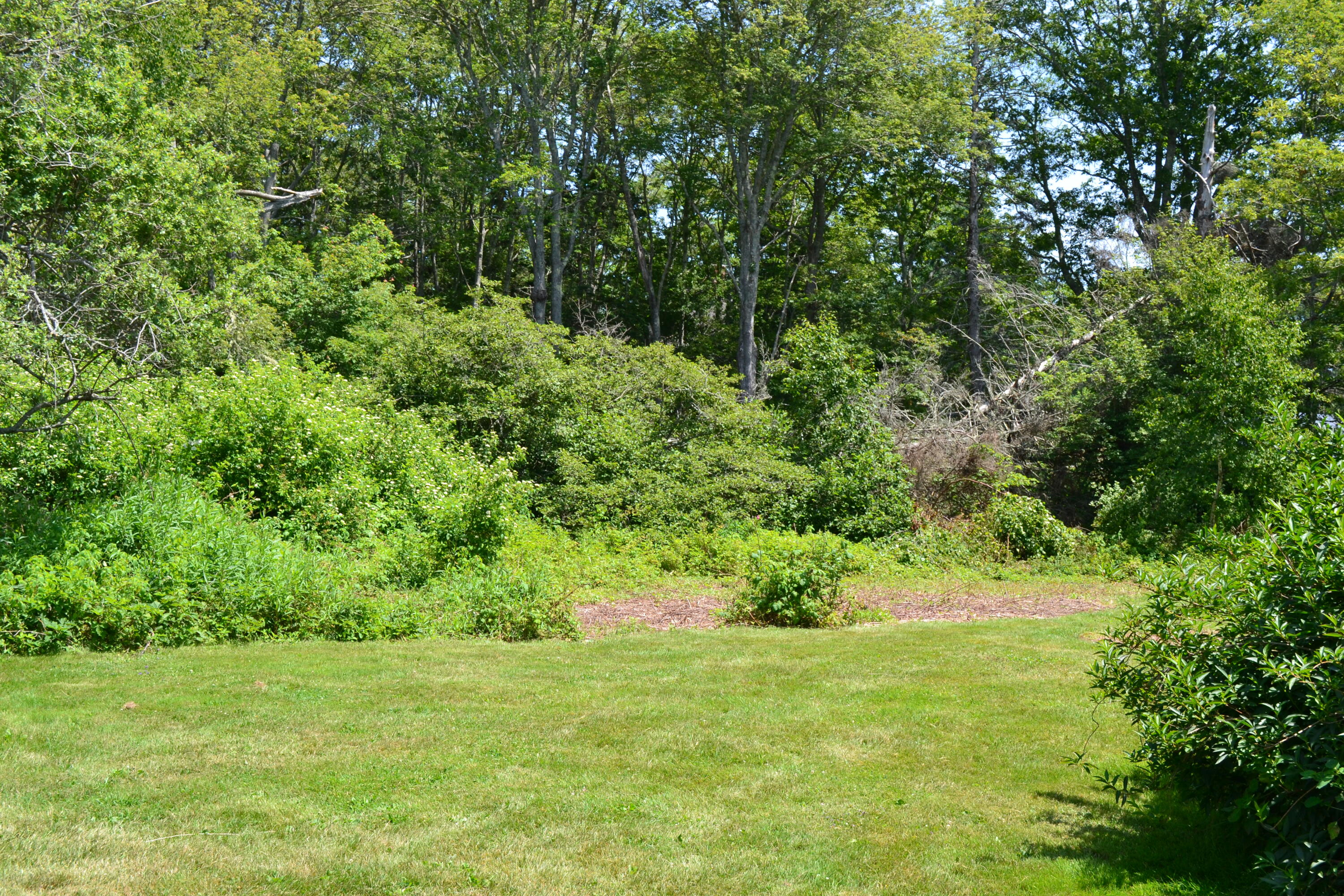 63 Bradley Shore Road Pemaquid, ME 04558 - Photo 3 of 22 DSC_0099
