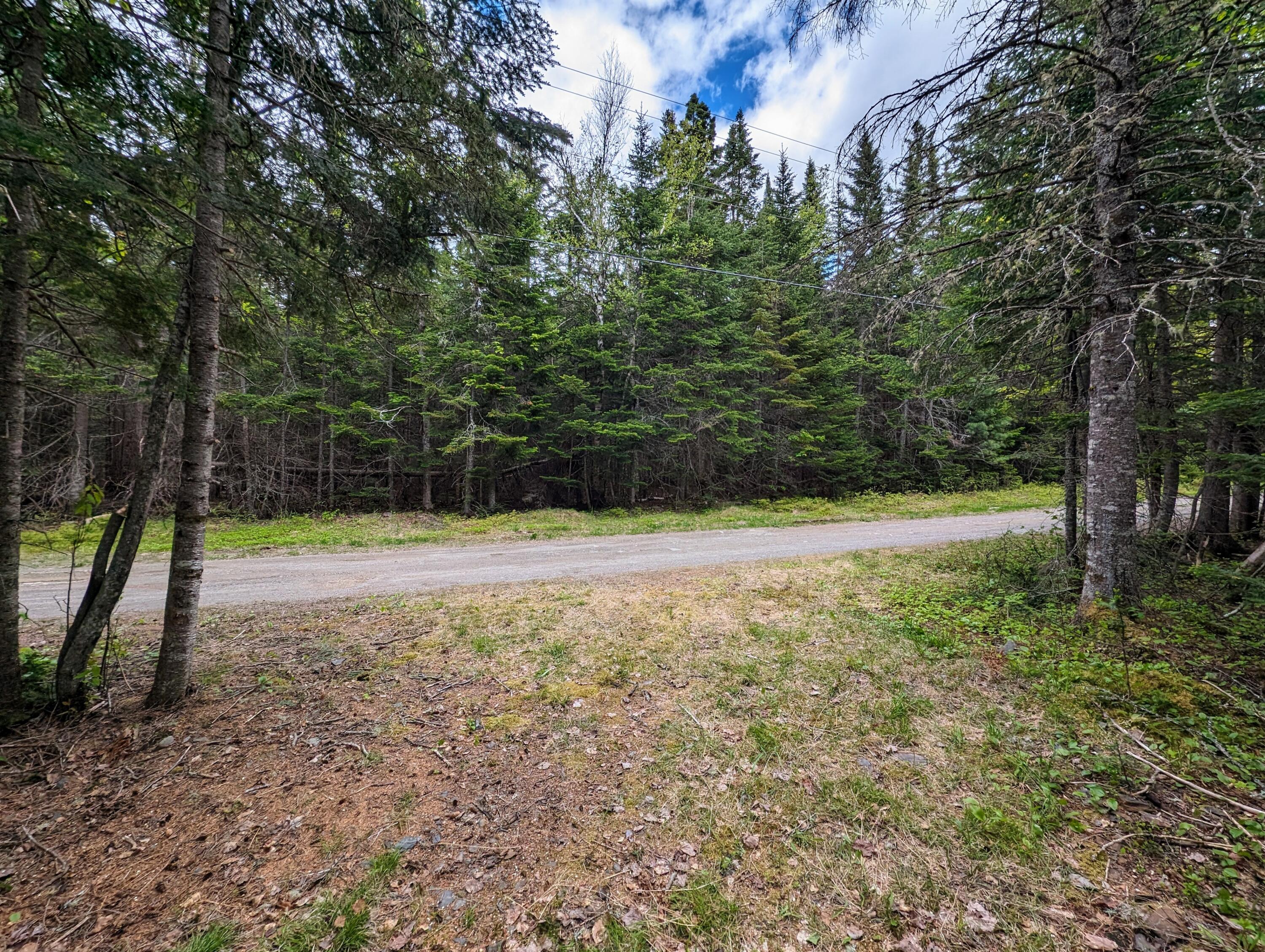 Lot 27-12 Winter Road Rangeley, ME 04970 - Photo 32 of 33 2.6 Acres on Winter Road in Rangeley!