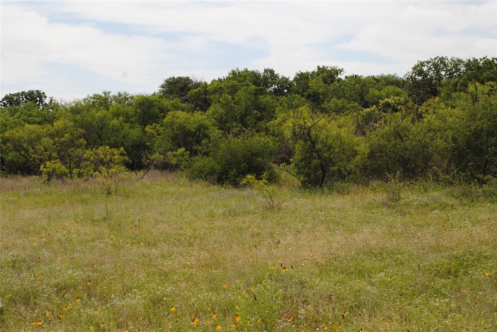 127 Rising Star Tx 76857 May, TX 76857 - Photo 14 of 17