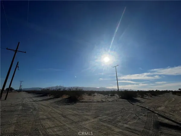a view of a dry yard