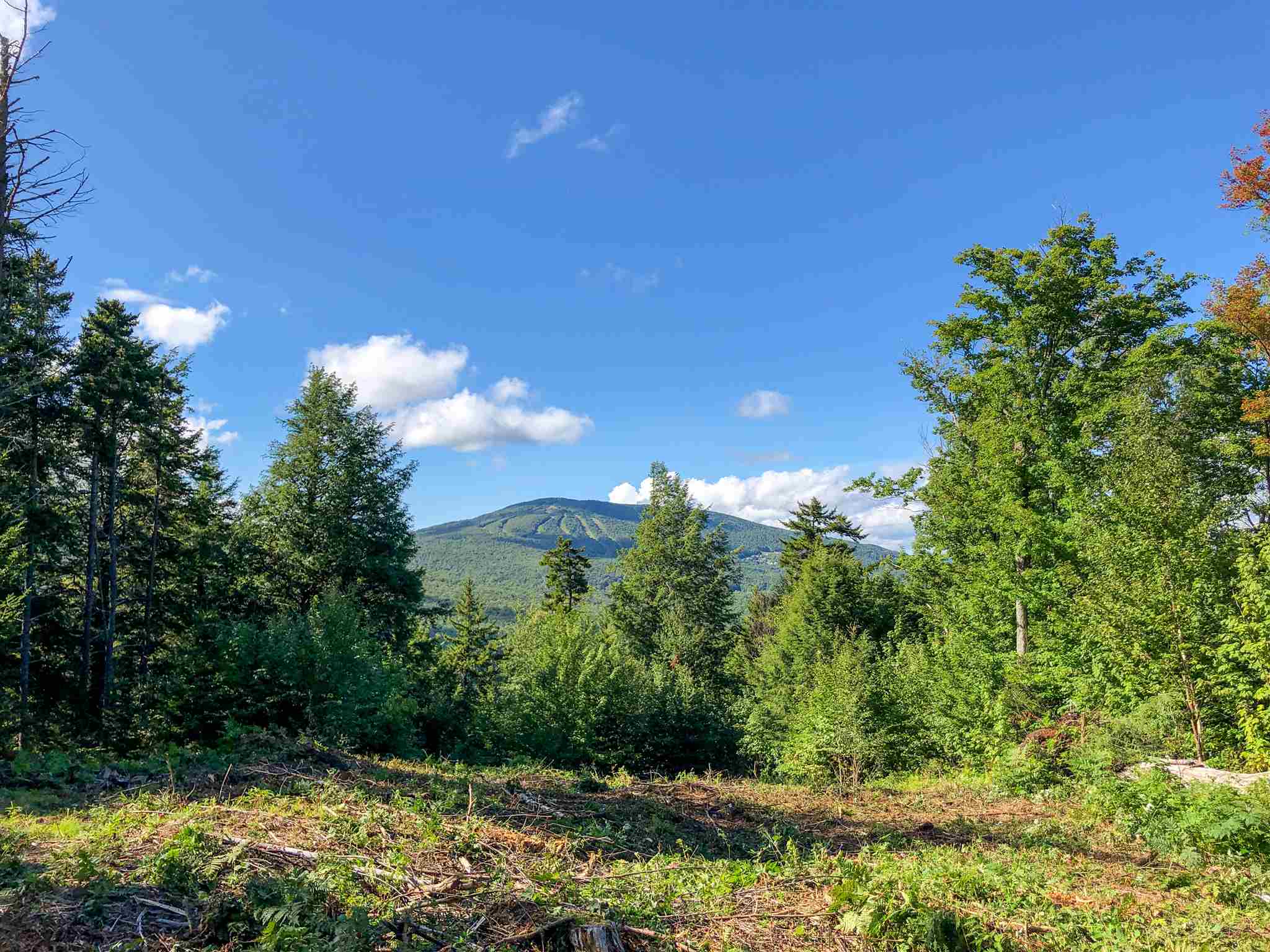 2 Turtle Hill Road, Unit 2 Ludlow, VT 05149 - Photo 2 of 17