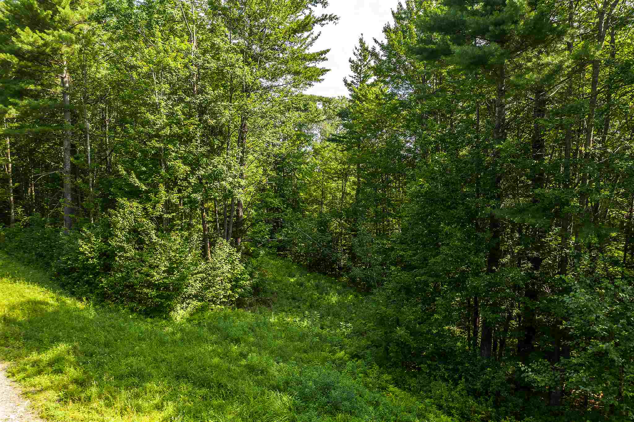 2 Turtle Hill Road, Unit 2 Ludlow, VT 05149 - Photo 14 of 17