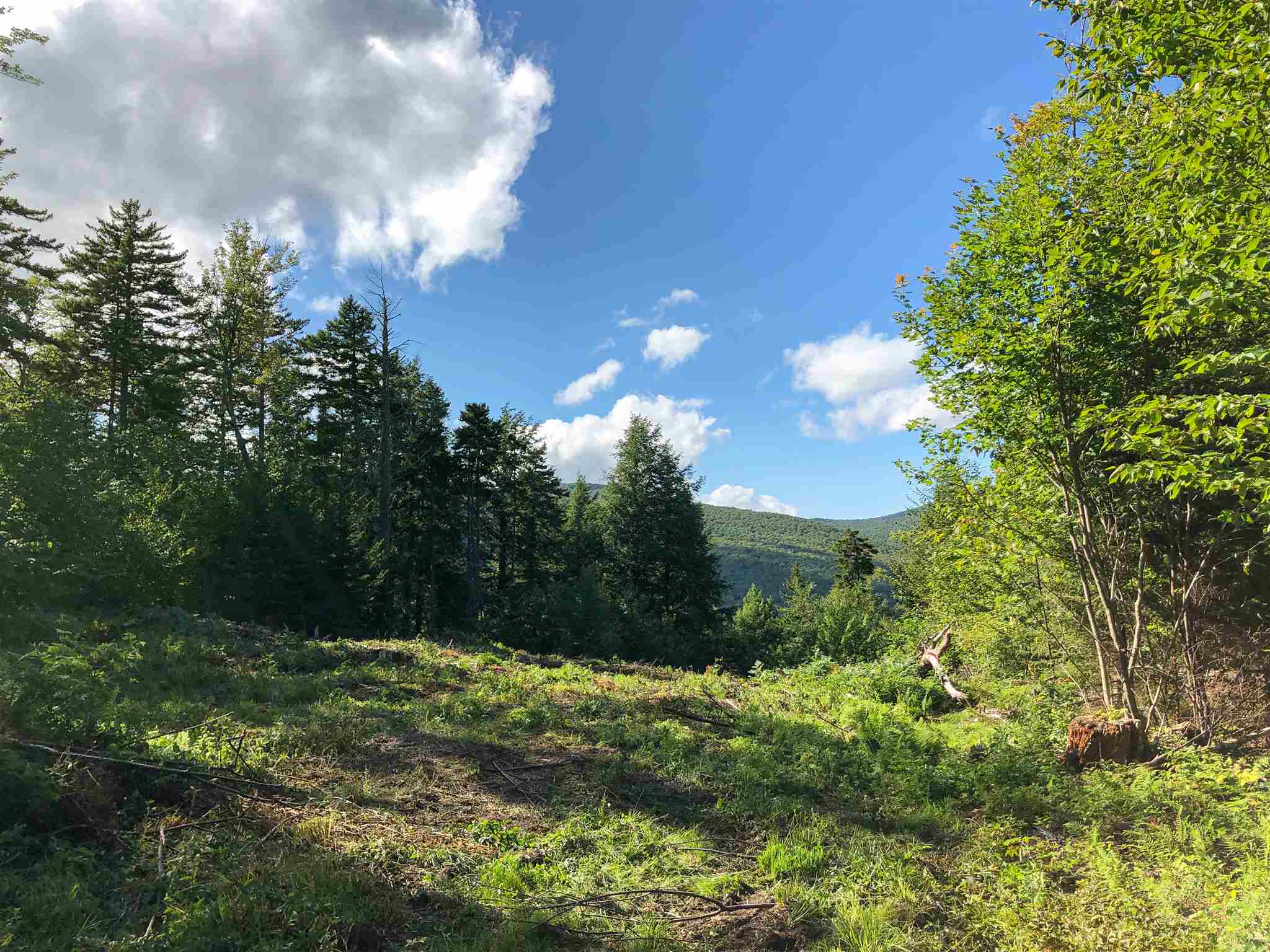 2 Turtle Hill Road, Unit 2 Ludlow, VT 05149 - Photo 5 of 17