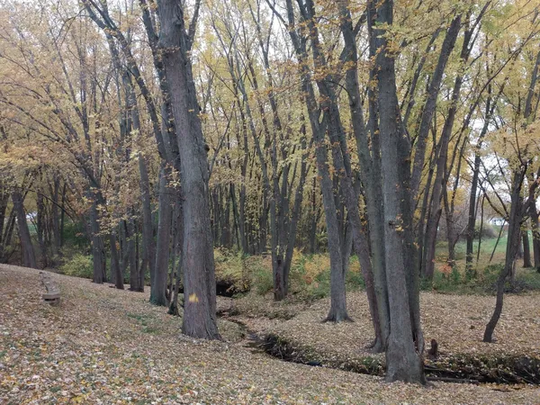 a outdoor sitting area with furniture and a garden