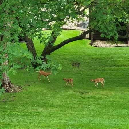 a view of outdoor space and yard