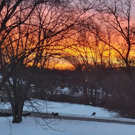 a picture of a room with a white wall and white cabinet