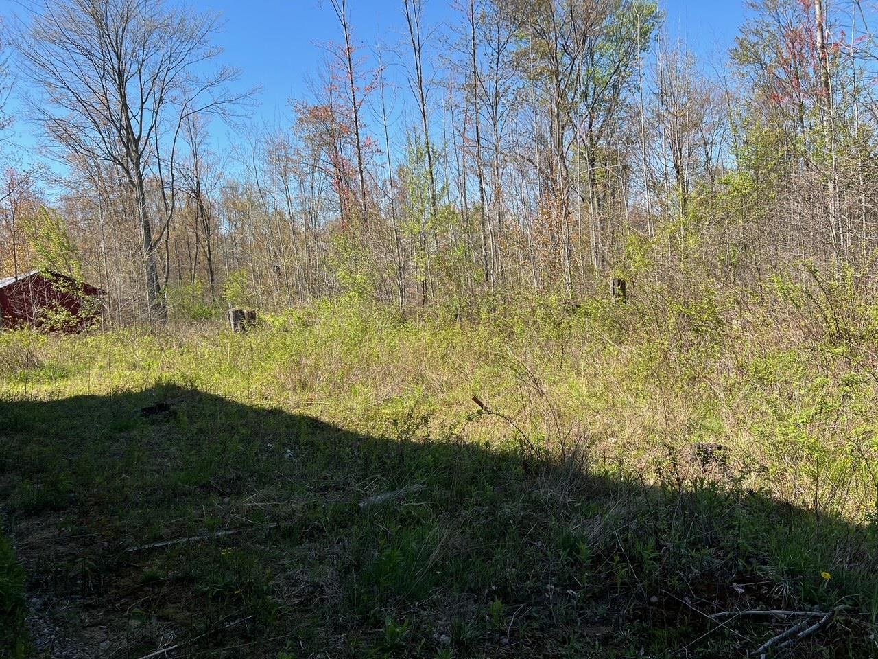 21403 Swan Creek Road Merrill, MI 48637 - Photo 29 of 68