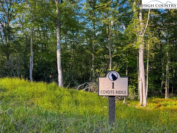 $120,000 | Lot R1 Coyote Trail, Boone, NC 28607