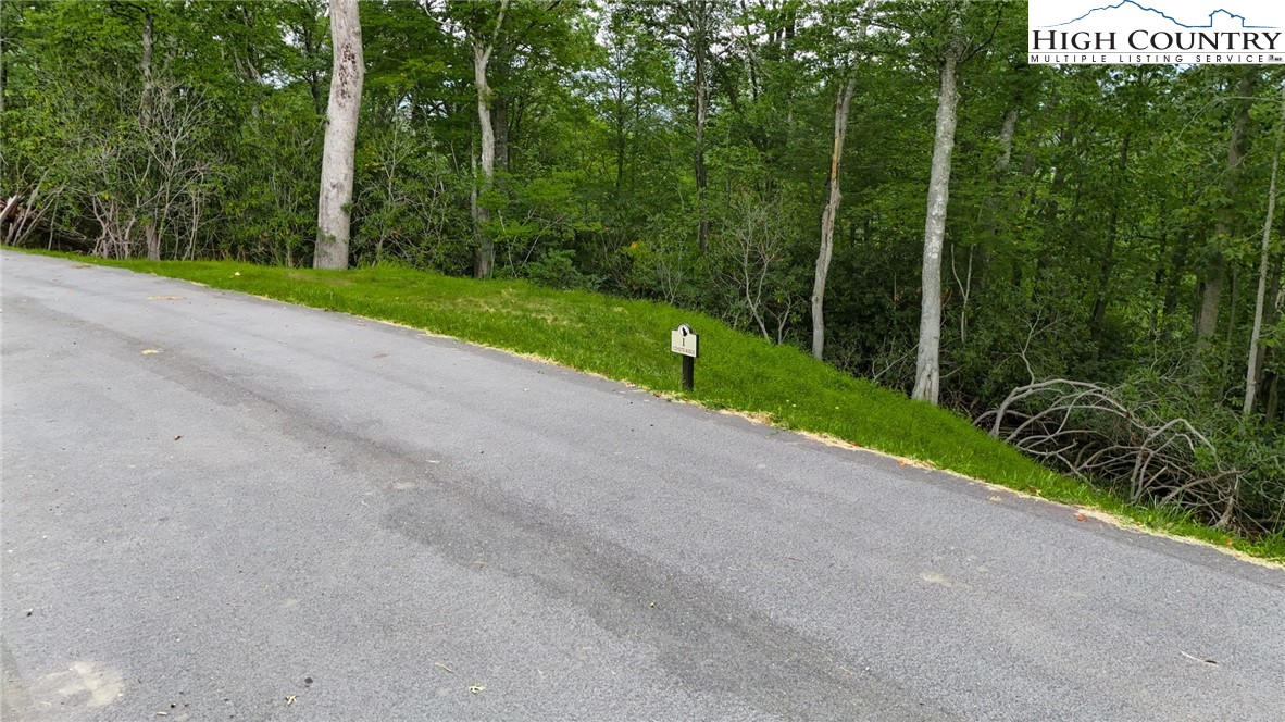 Lot R1 Coyote Trail Boone, NC 28607 - Photo 3 of 10
