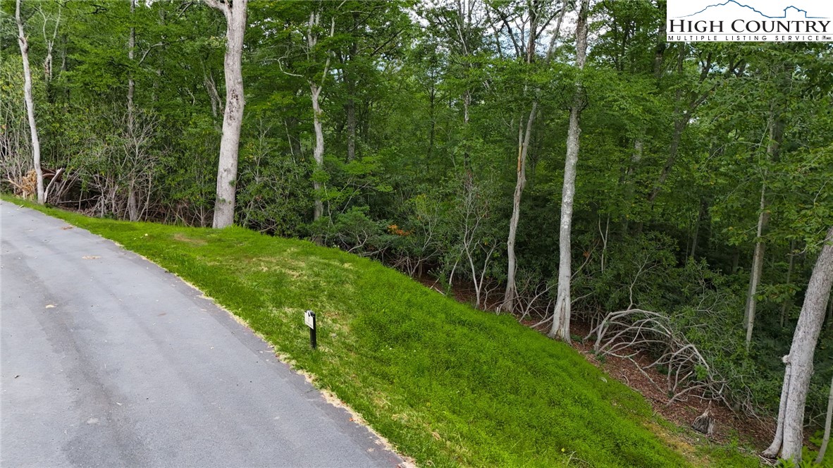 Lot R1 Coyote Trail Boone, NC 28607 - Photo 4 of 10
