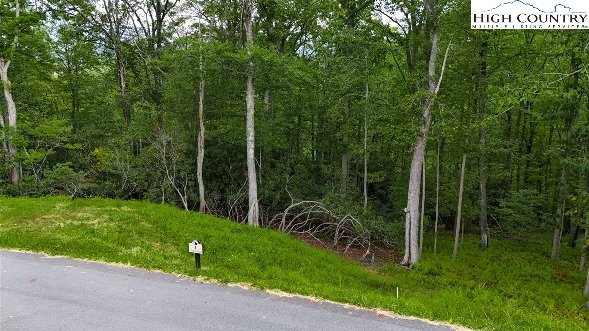 Lot R1 Coyote Trail Boone, NC 28607 - Photo 5 of 10