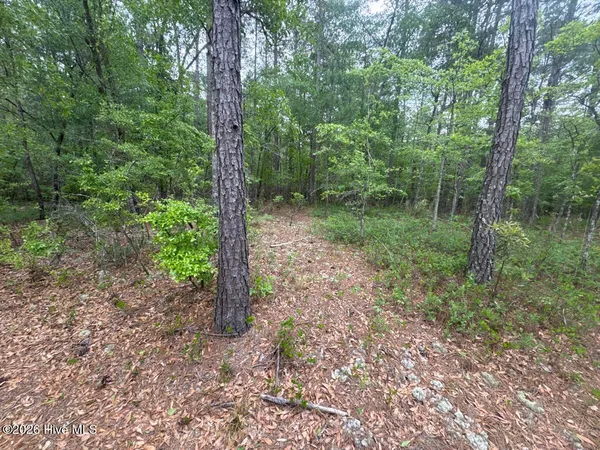 $120,000 | 53 Off Highway, Burgaw, NC 28425