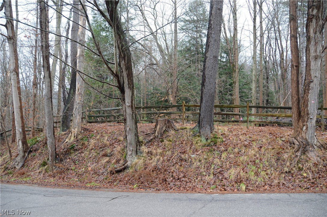10050 Mitchells Mill Road Chardon, OH 44024 - Photo 1 of 22