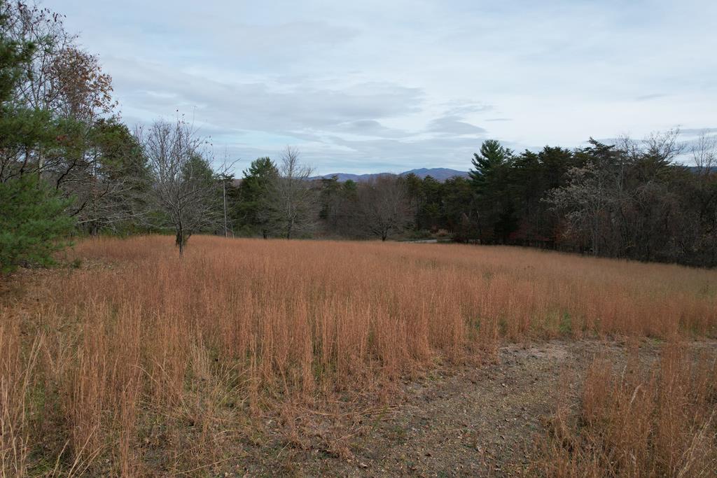 357 Bertha Farms Road Barren Springs, VA 24313 - Photo 1 of 30 Gallery Image 1