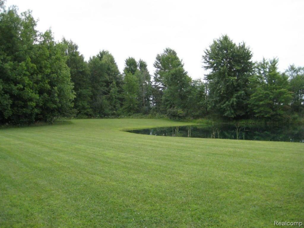 8400 Metcalf Road Avoca, MI 48006 - Photo 27 of 28 Pond