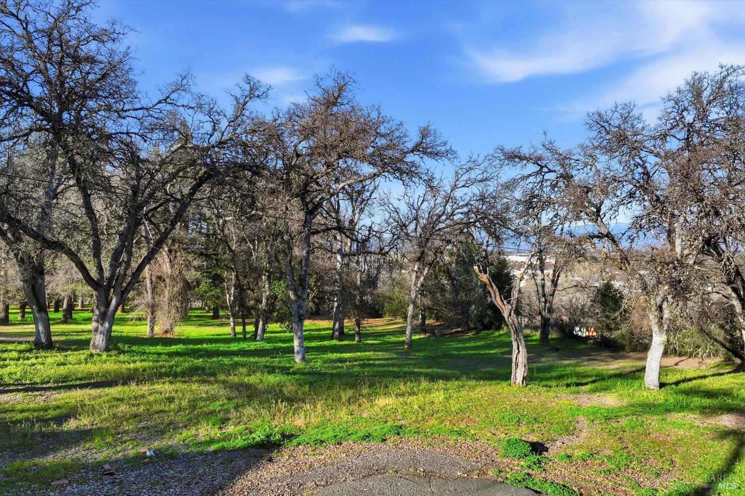 5300 McKee Road Kelseyville, CA 95451 - Photo 1 of 11 a garden view with a fountain