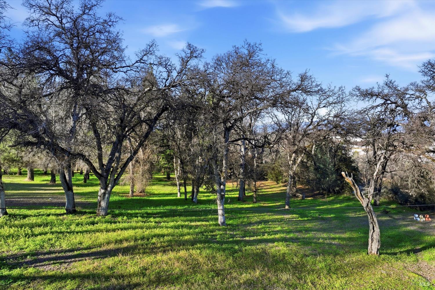 5300 McKee Road Kelseyville, CA 95451 - Photo 11 of 11 a green field with lots of trees