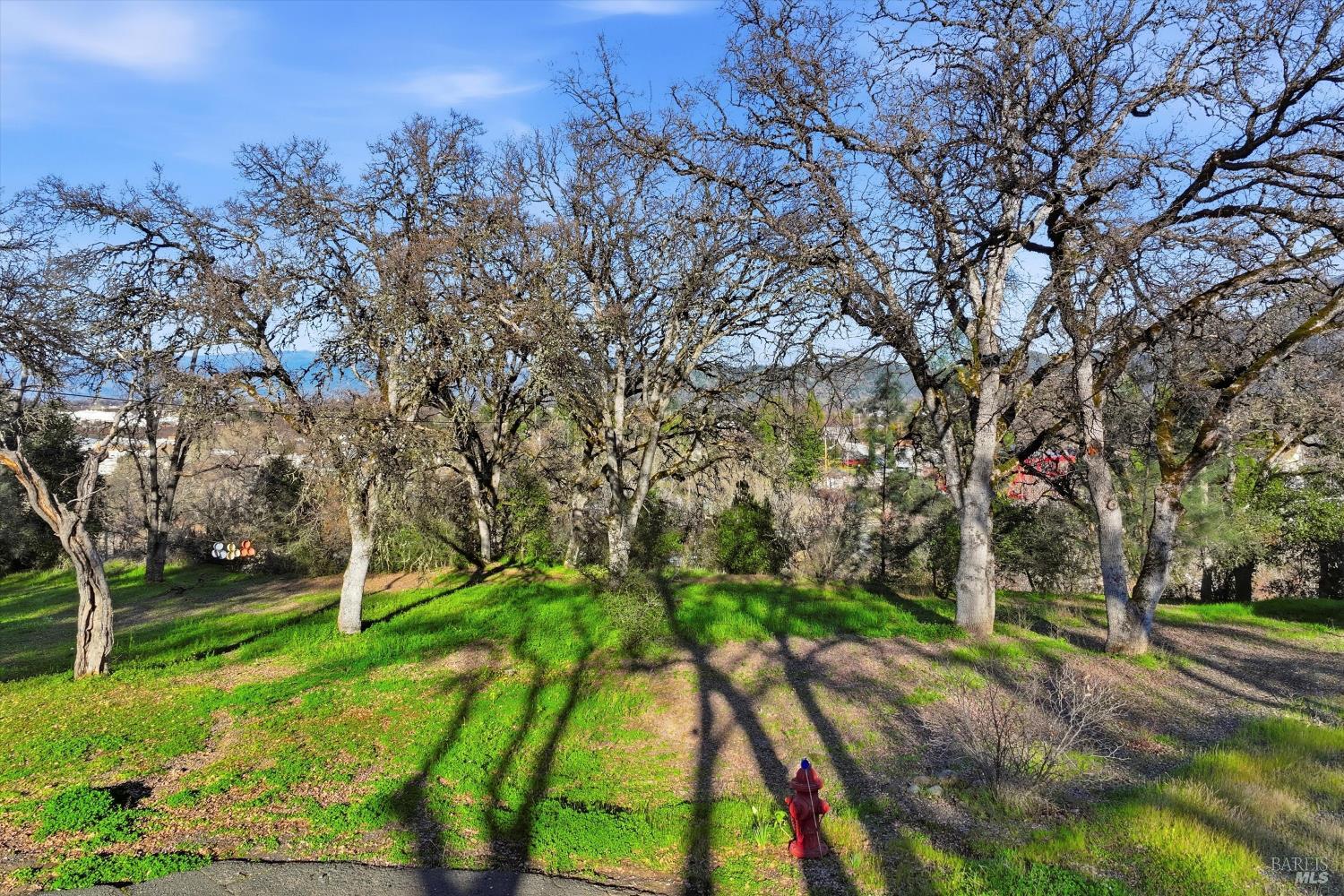 5300 McKee Road Kelseyville, CA 95451 - Photo 3 of 11 a backyard of a house with lots of green space